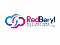 RedBeryl-Tech-Solutions-Pvt-Ltd-e1755754457817.jpeg